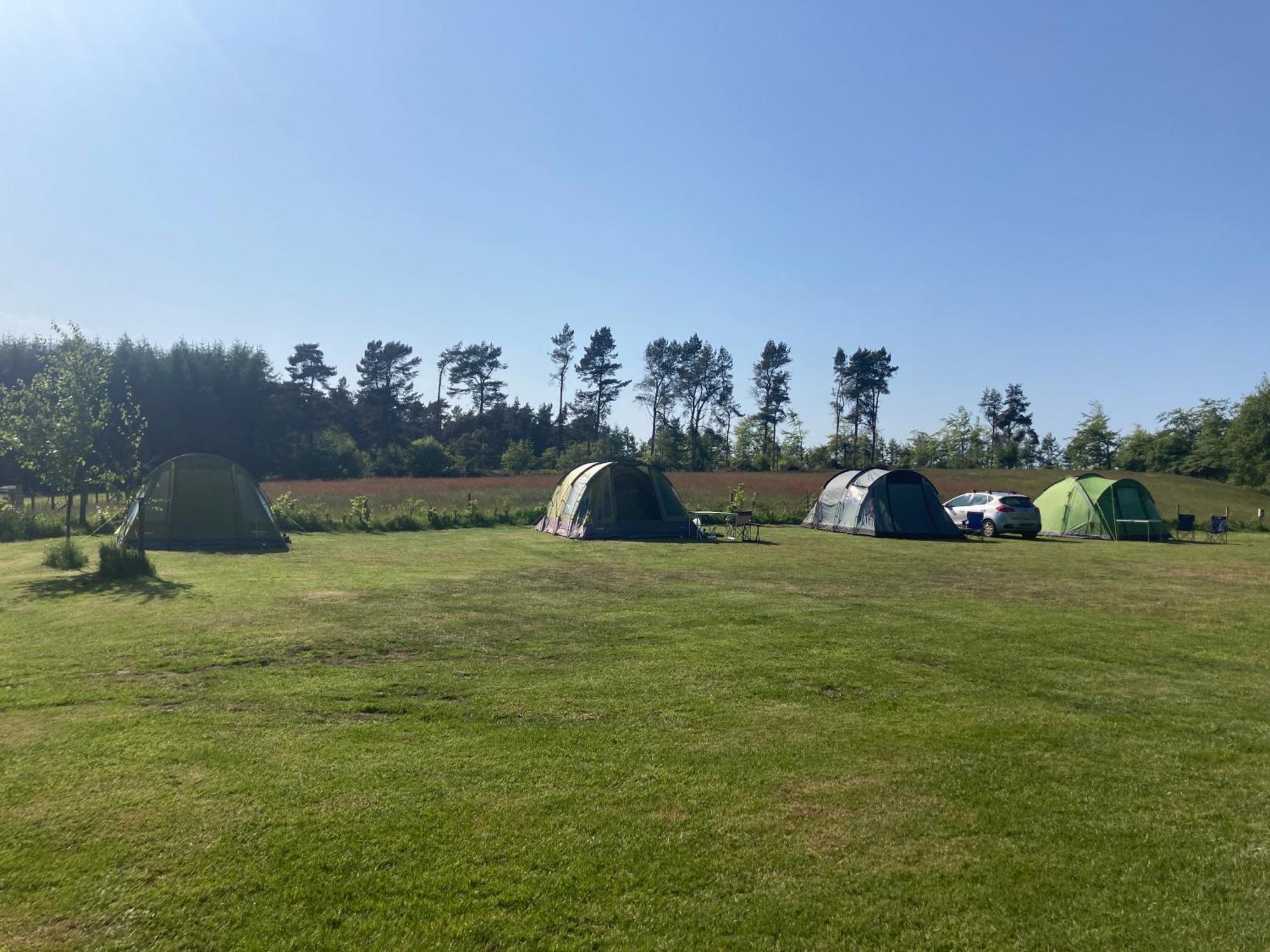 Bank Top Camping-North York Moors With Pitches For Caravans, Camper Vans And Tents Hotel Pickering Exterior foto